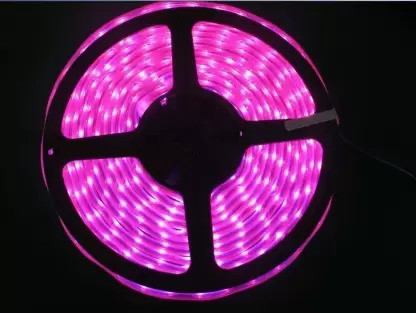 Sayeny 4 Meter LED Strip Lights | 120 Led RGB Strip Light with Adaptor |Operated with LED Lights for Home Decoration, Bedroom,Diwali Decoration & False Ceiling (Pink)