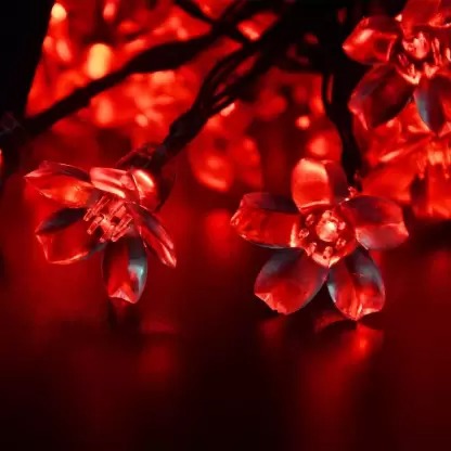 Sayeny Flower Fairy String Lights, 3 Meter 20 LED Christmas Lights for Diwali Home Decoration (Red)